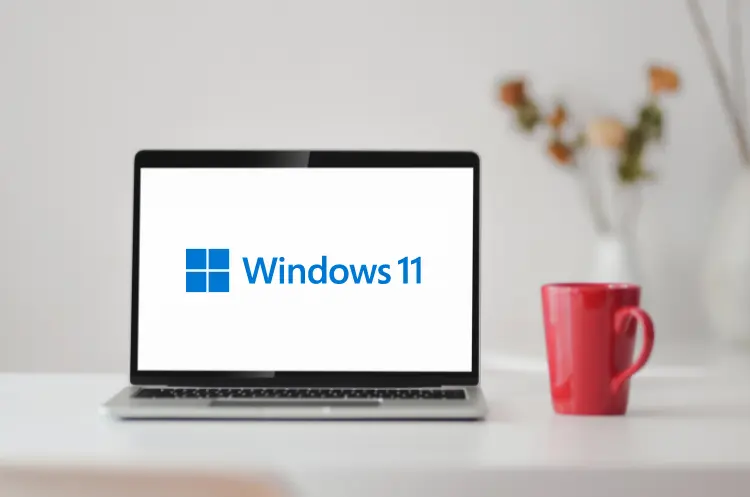 Windows 11 Grafiktreiber zurücksetzen