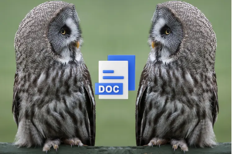 Google Docs Bild spiegeln