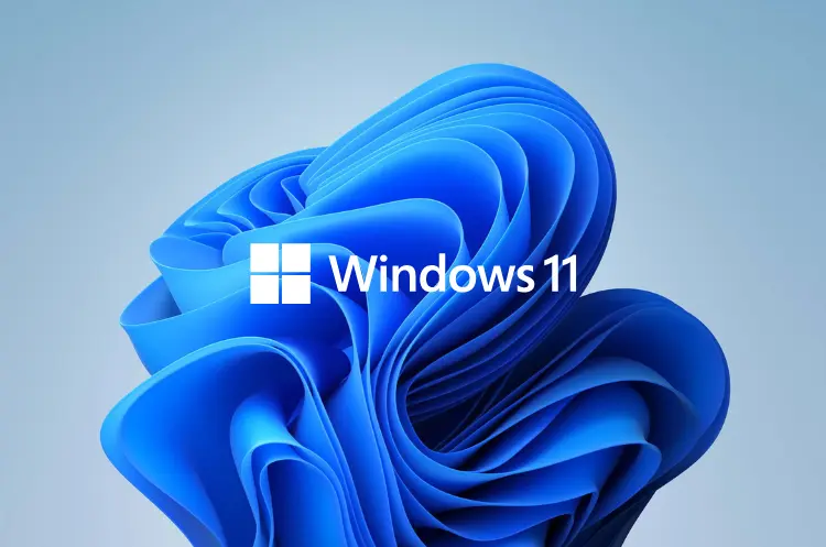 Windows 11 Live-Hintergrundbild einrichten