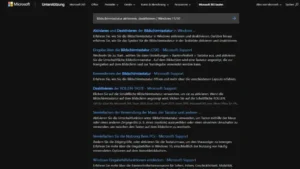 Bildschirmtastatur aktivieren, deaktivieren | Windows 11/10