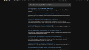 Microsoft Store Fehler App-Installation unter Windows 11