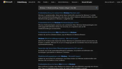 Windows 11-Wiederherstellung Roboter schlagen ohne Bild