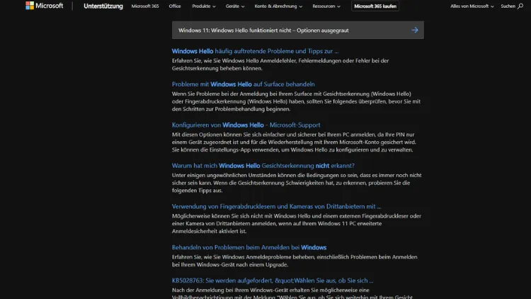 Windows 11 Windows Hello funktioniert nicht – Optionen ausgegraut